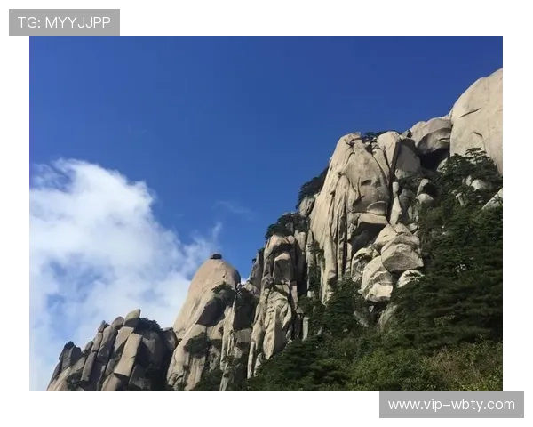 专业解析manbetx登录网址安全验证流程，确保您的账号信息安全